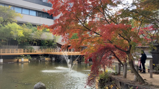 生田神社１２月の記事動画