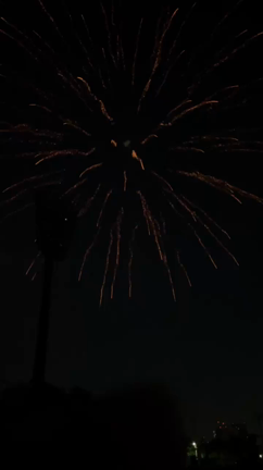 隅田川花火大会②の記事動画