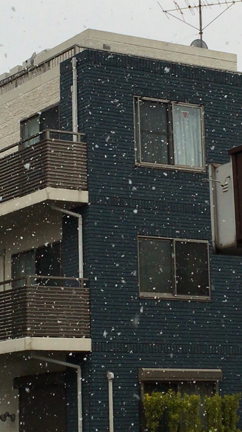 ミセスグロスマンステッカーカラーリレー「3月はピンク」　　横須賀は雪の記事動画