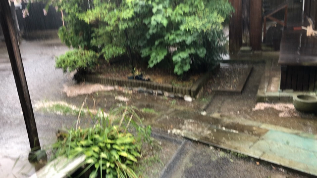 1日で地震とゲリラ豪雨に見舞われました……の記事動画