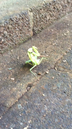 日曜日の休日の記事動画