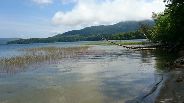 モンカゲの釣りに嵌まってますの記事動画