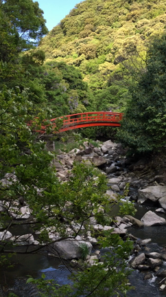 神戸 太山寺の記事動画