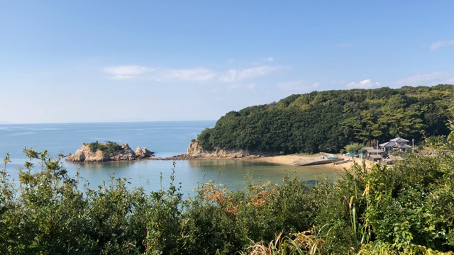 そして２日目の記事動画