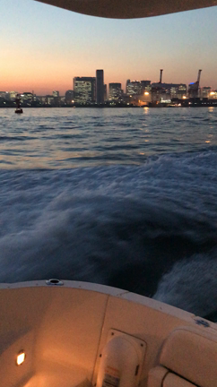 初航海の記事動画