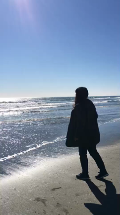 海老平家物語の記事動画