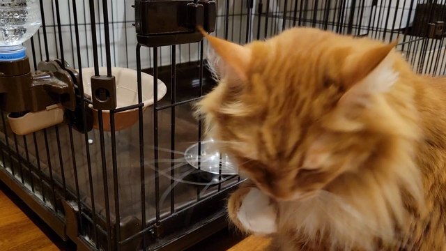 全然シンプルじゃない笑！オリジナル○○○作りの記事動画