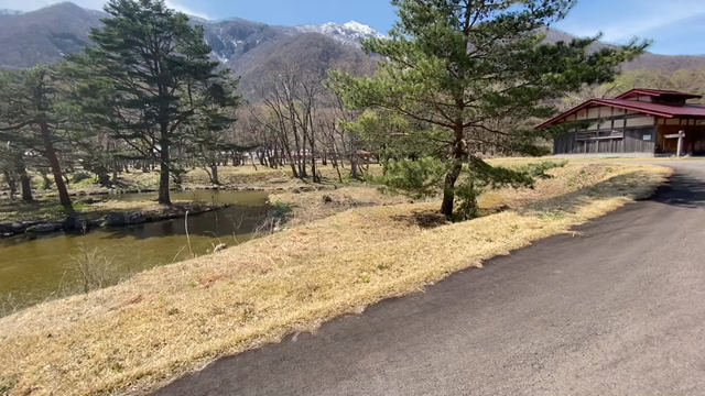 キャンプ場奥地のオートフリーサイトですの記事動画