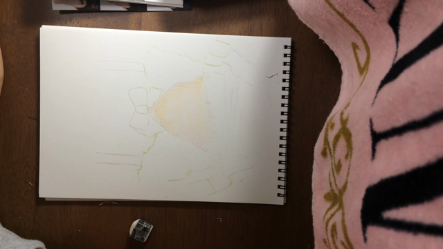 色鉛筆でににたんの記事動画