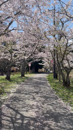 春爛漫の真庭市への記事動画