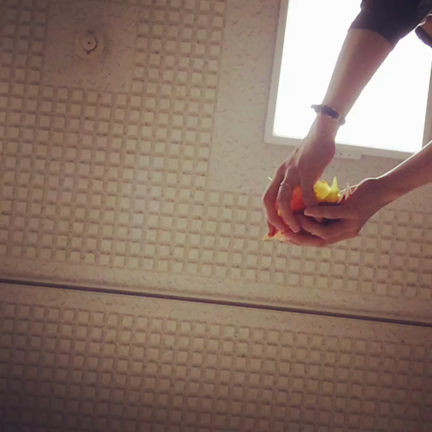 リハーサルの記事動画