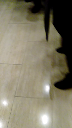 追記してた！審査結果速報！第86回日本音楽コンクール本選ヴァイオリン部門　の記事動画