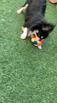 2023/10/07の記事動画