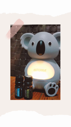 夫が発熱コロナじゃないといいのだけど。の記事動画