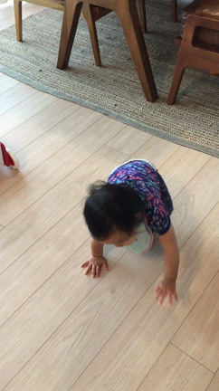 ヨチヨチ。の記事動画