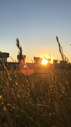 のどかな夕暮れの記事動画