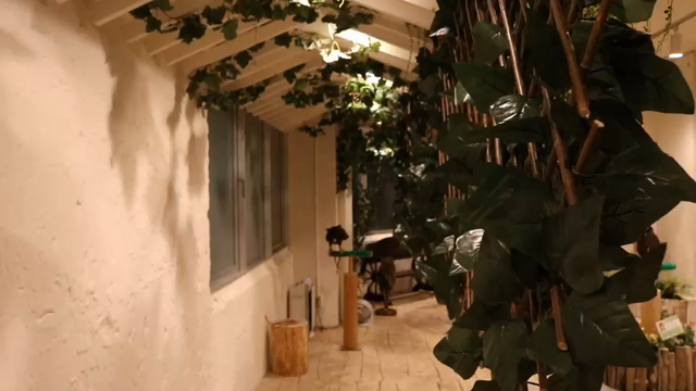 鷹匠体験の記事動画