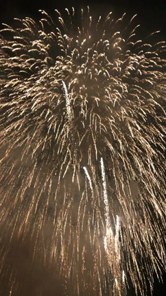 花火の記事動画