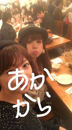 (^.^)(^.^)の記事動画