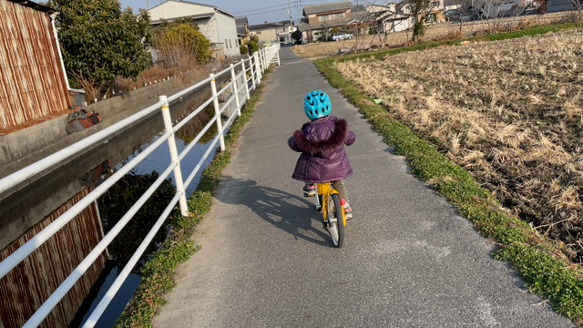 コマなしトライの記事動画