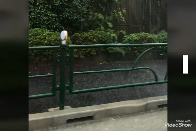 災害の記事動画