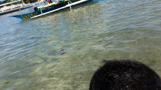 セブ島紀行 番外動画編の記事動画