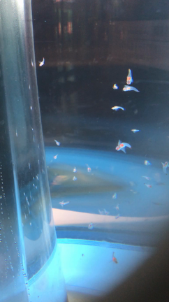 クリオネ❤️の記事動画