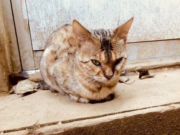 撮影日和の記事動画