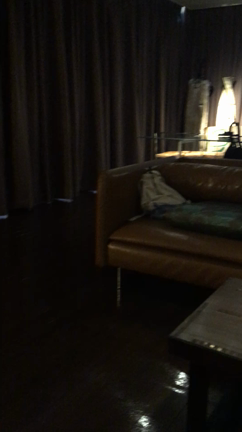 ホテルで…の記事動画