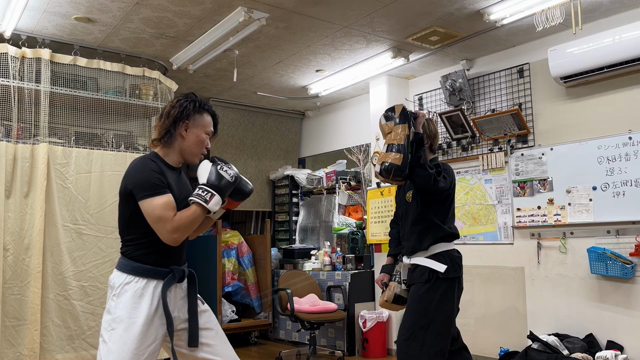 ハト道場の記事動画