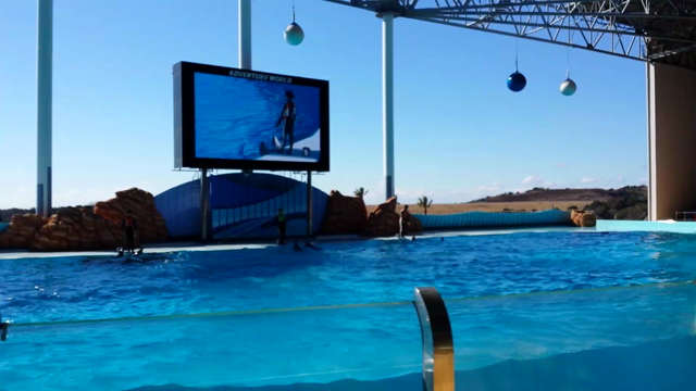 ☆和歌山　アドベンチャーワールド　イルカ編の記事動画