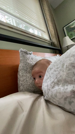 顔だけひょっこり！いもむしナユちゃんの記事動画