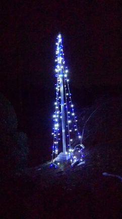 merryChristmas？の記事動画