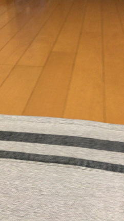 前へ…の記事動画