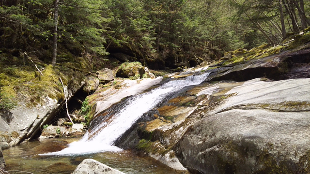 【フィールドレポ】甲武信ヶ岳とシャクナゲとskykahaの記事動画