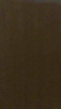 ハンドベルの記事動画