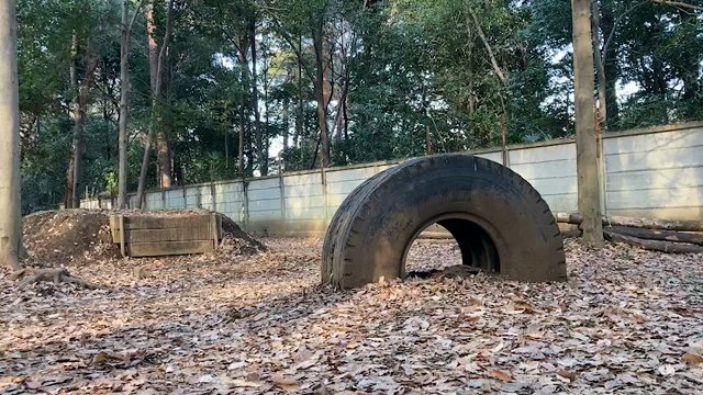 最近こんな感じの記事動画