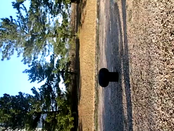 卒業カウントダウーンの記事動画