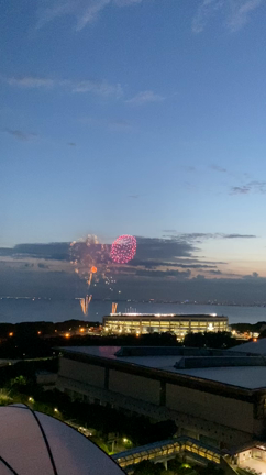 ホテルからの記事動画