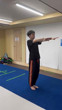 アクロバット専門コーチによる「バク転レッスン」の記事動画