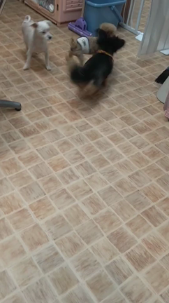 7/23(土)のホテルの様子の記事動画