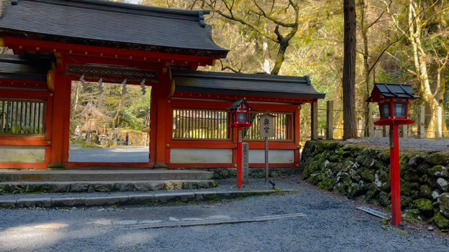 ３日目の京都旅『貴船神社の龍光の写真』と『パートナーシップの学び』。信頼し素直に進む宇宙の流れ〜の記事動画