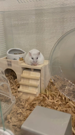 一心不乱の記事動画