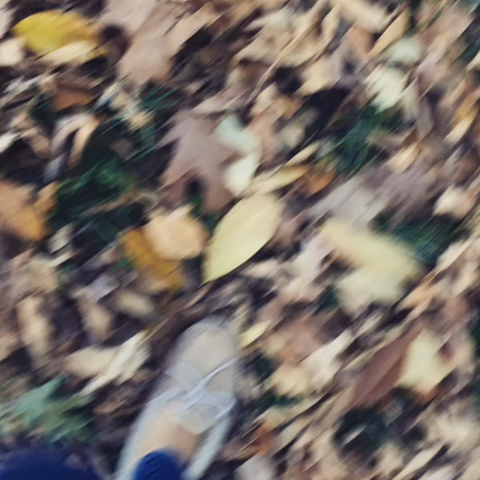 紅葉の中で♡の記事動画