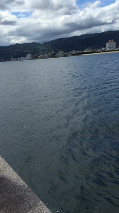 昨日の青物狙い笑の記事動画