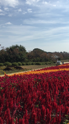 ピアノ、エレクトーン生徒様募集*\(^o^)/*の記事動画