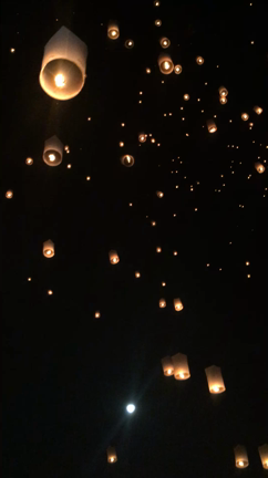 チェンマイ旅行③の記事動画