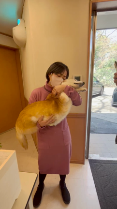 ミリーありがとうの記事動画