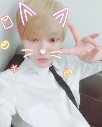 ２０１８年４月８日の記事動画