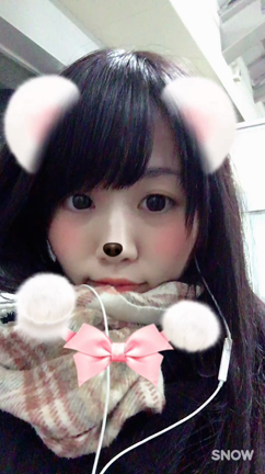 今年もみかんが美味しいの記事動画